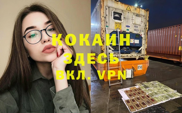 стафф Алексин