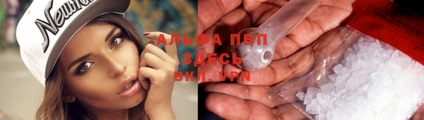стафф Алексин