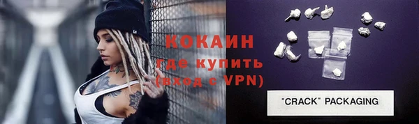 стафф Алексин