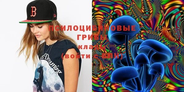 стафф Алексин