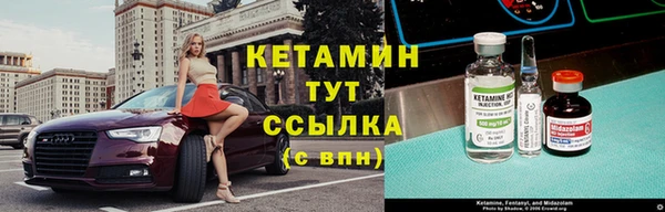 стафф Алексин