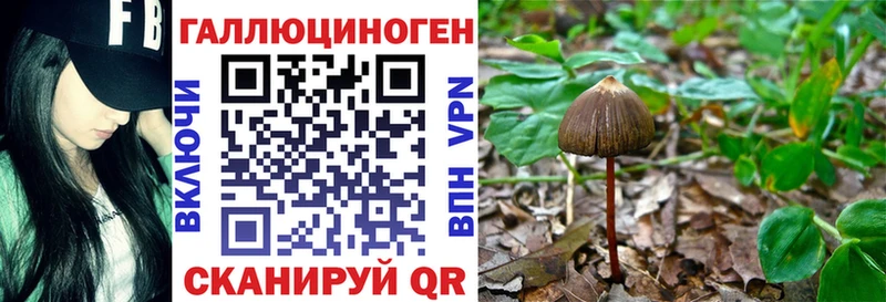 Галлюциногенные грибы мухоморы  Николаевск-на-Амуре 